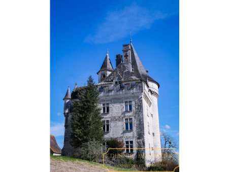 Chateau 1 257 600 € sur Loches (37600) - Réf. 309
