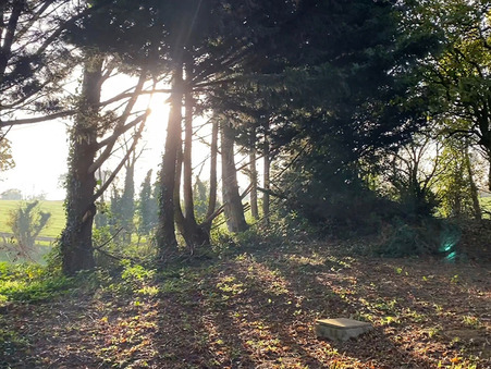 Maison sur Saint Hilaire du Maine ; prix nous consulter ; Vente Réf. M710818