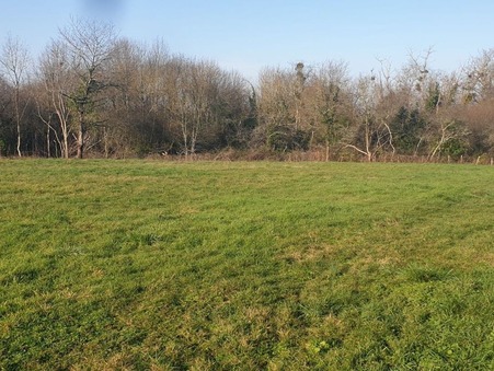 CHATILLON SUR LOIRE 20 981 €
