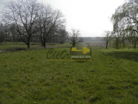 Saint-Vincent-en-Bresse 36 900 €