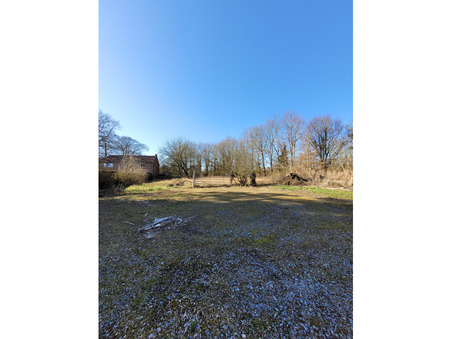 A vendre maison Avesnelles 59440; 288 750 &euro;