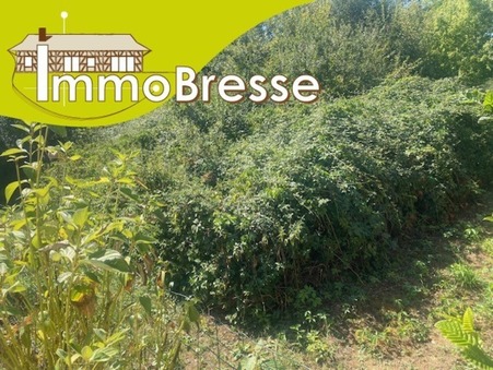 Montrevel-en-Bresse 65 000 €