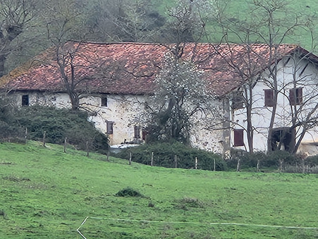 Saint martin d arberoue  215 000 €