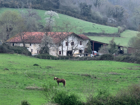 Saint martin d arberoue  321 000 €