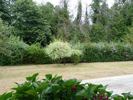 Achat maison Craon Réf. M86138