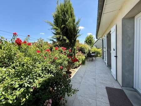 Vente other price consult us 