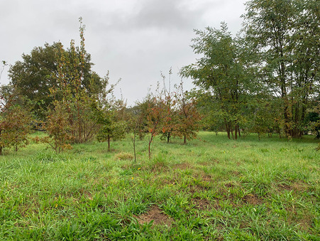 Terrain 65 000 € Réf. S69687 Etriche