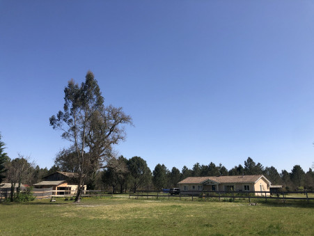 A vendre propriété Le Temple 33680; 798 000 € 