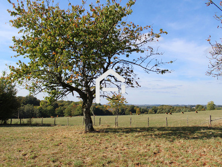 Uzerche 19 900 €