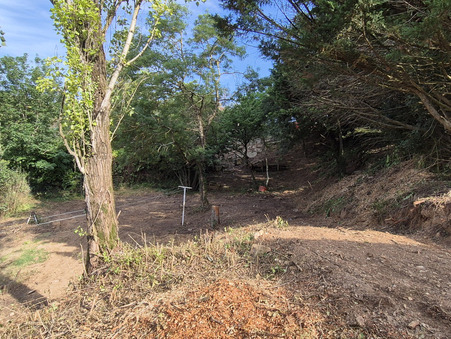 Achat terrain Frontonas Réf. 44_front_5509