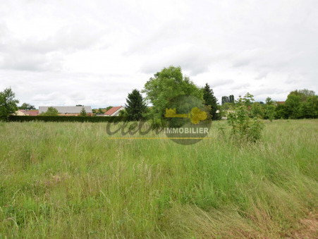 FLAMMERANS 55 000 €