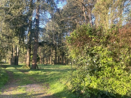 Maison sur Mervent ; 279 000 €  ; Vente Réf. DOM17753