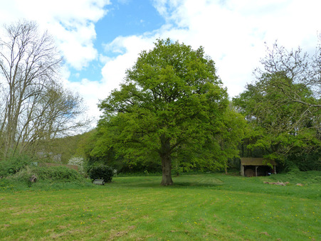 Vente maison 569 000 € Craon