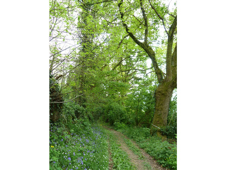 Maison 569 000 € Réf. M811294 Craon