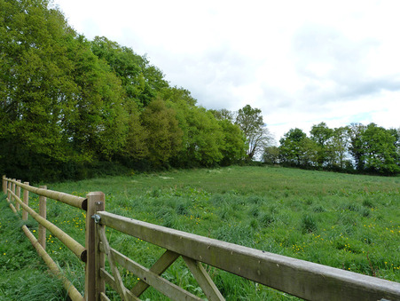 Achat maison Craon Réf. M811294