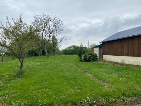 Achat maison Saint Pierre des Landes Réf. M711269