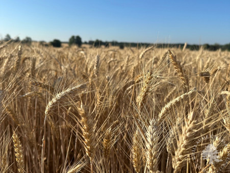 Terrain 141 750 €  sur Bourges (18000) - Réf. 1492