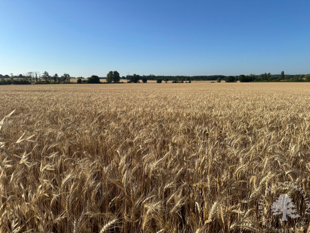 Vente terrain 141 750 €  Bourges