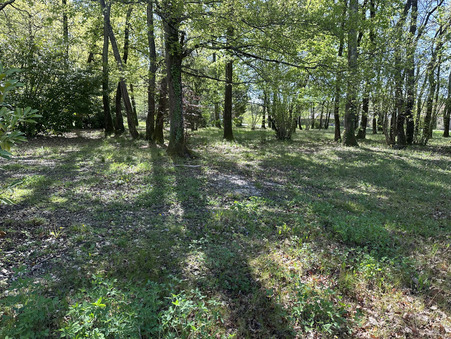 A vendre maison Saint-Brice 16100; 334 000 € 