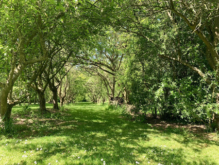 Achat maison Englefontaine Réf. 1_10828_PM