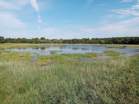 MIONNAY 1 426 000 €