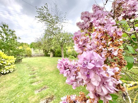 A vendre maison Verzy 51380; 598 500 € 