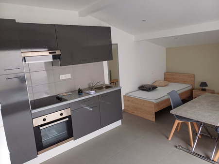 Saint Étienne  450 €