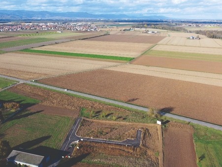 STE CROIX EN PLAINE 
