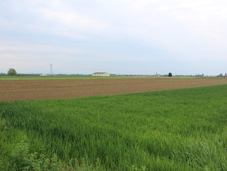 STE CROIX EN PLAINE 