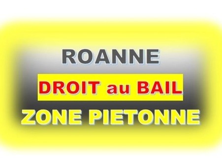 ROANNE 89 000 €