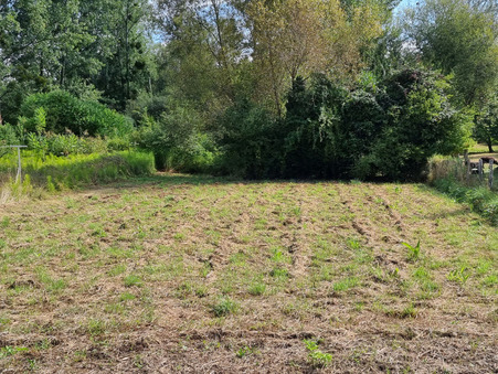 Langeais 20 000 €
