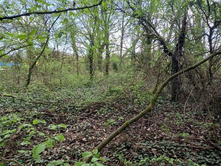 Lessard-en-Bresse 48 500 €