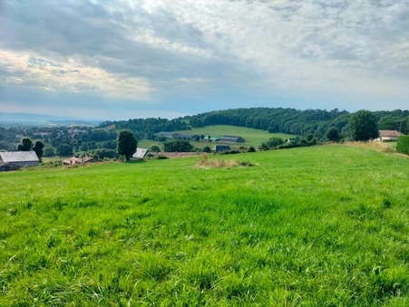 SAINT FLOUR  236 500 €