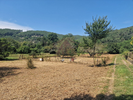 Surface terrain 48 000 €  Réf. 92363 Besseges