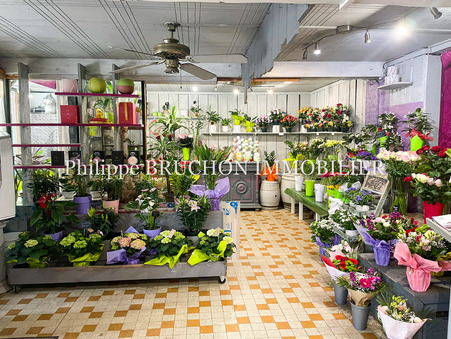 Local commercial 77 000 € sur Toucy (89130) - Réf. 13_FD02