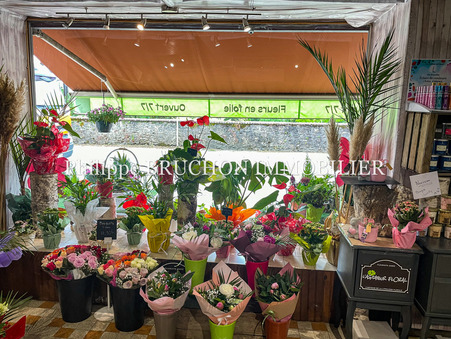 Local commercial 77 000 € Réf. 13_FD02 Toucy