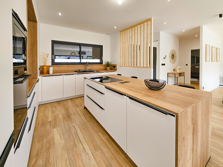 A vendre maison Chanas 38150; 439 000 €