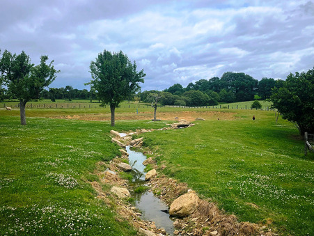 Maison 240 900 € sur Irodouer (35850) - Réf. 11757