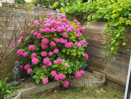 Maison 562 000 € sur Clamart (92140) - Réf. 714-ACTIF_714