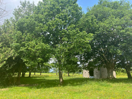 A vendre maison Juvigne 53380; 259 000 €