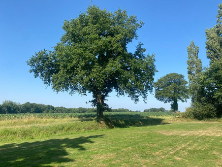 A vendre maison Juvigne 53380; 259 000 €