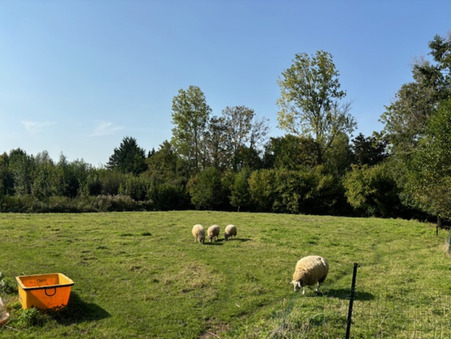 Vente maison 880 000 € Cambrai