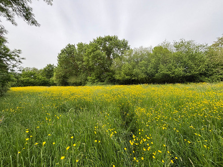 Maison 159 300 € Réf. 427JW Gennes Val de Loire
