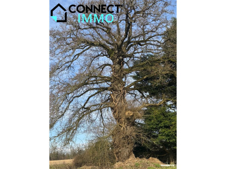 Vente Maison PERSQUEN Réf. 1798 - Slide 23