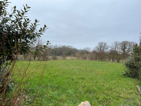 A vendre terrain Pénestin 56760; prix nous consulter
