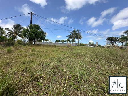 Vente terrain 720 000 €  Sainte-Luce