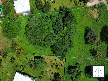 A vendre terrain Sainte-Luce 97228; 720 000 € 