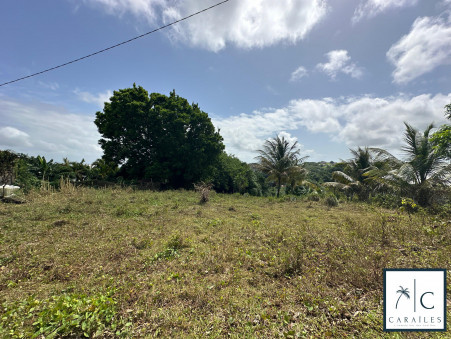 Terrain 720 000 €  Réf. CAR182 Sainte-Luce