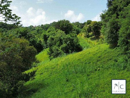 Terrain 720 000 €  Réf. CAR182 Sainte-Luce