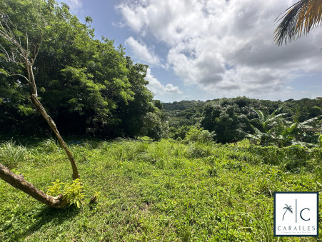 Terrain 720 000 €  Réf. CAR182 Sainte-Luce